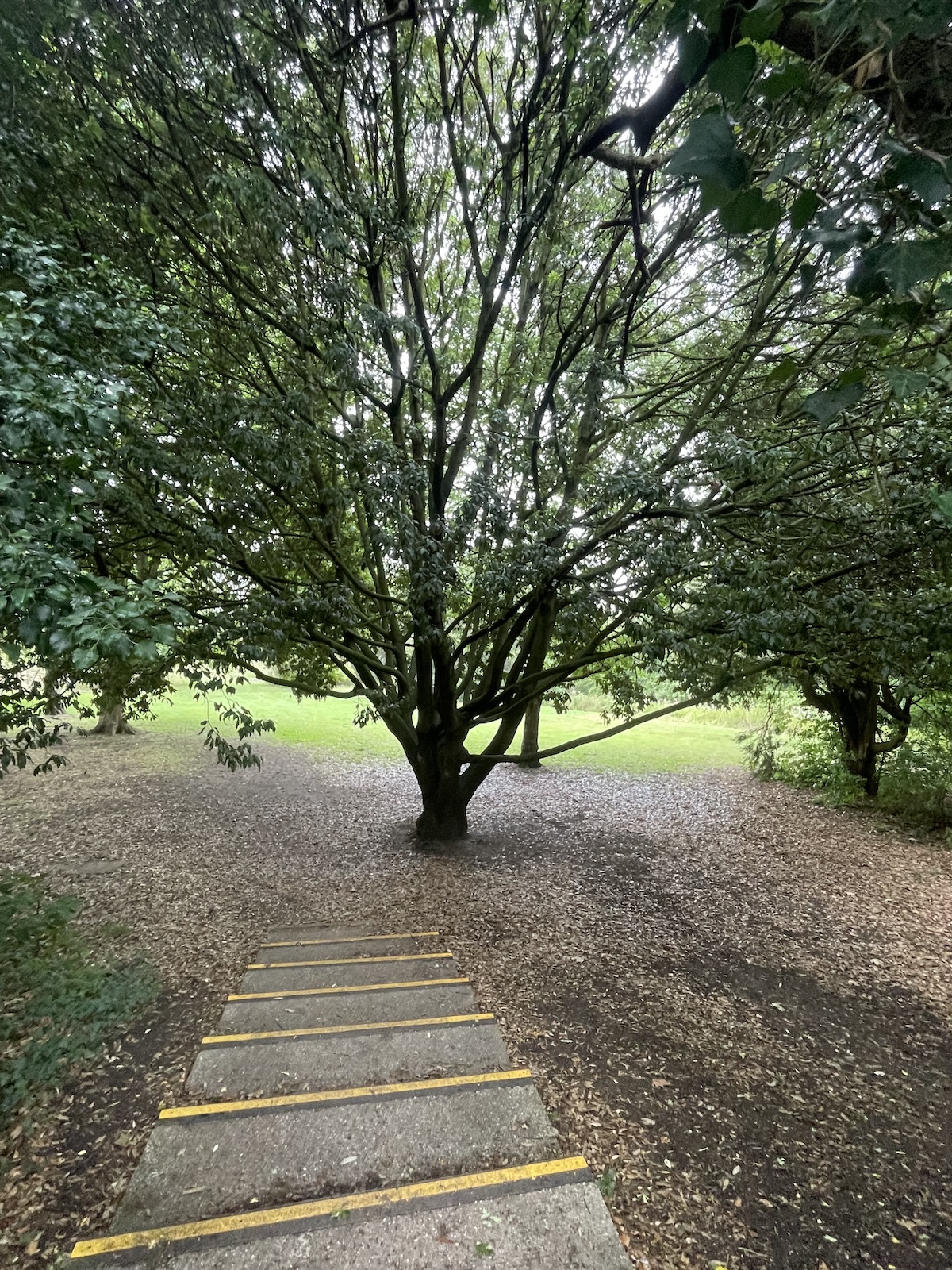 Scenery in Rochford Park